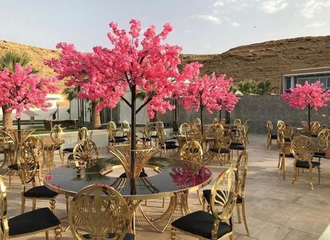 مؤسسة حلم المستقبل